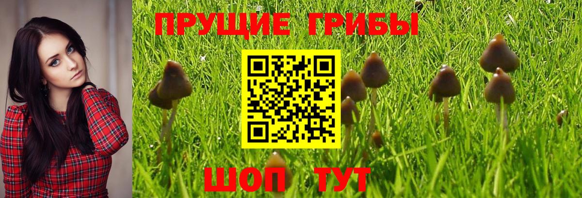 Галлюциногенные грибы мухоморы  Вход с VPN  Димитровград 