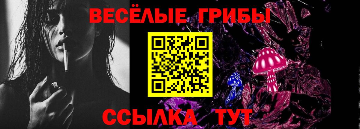 Галлюциногенные грибы Cubensis Димитровград