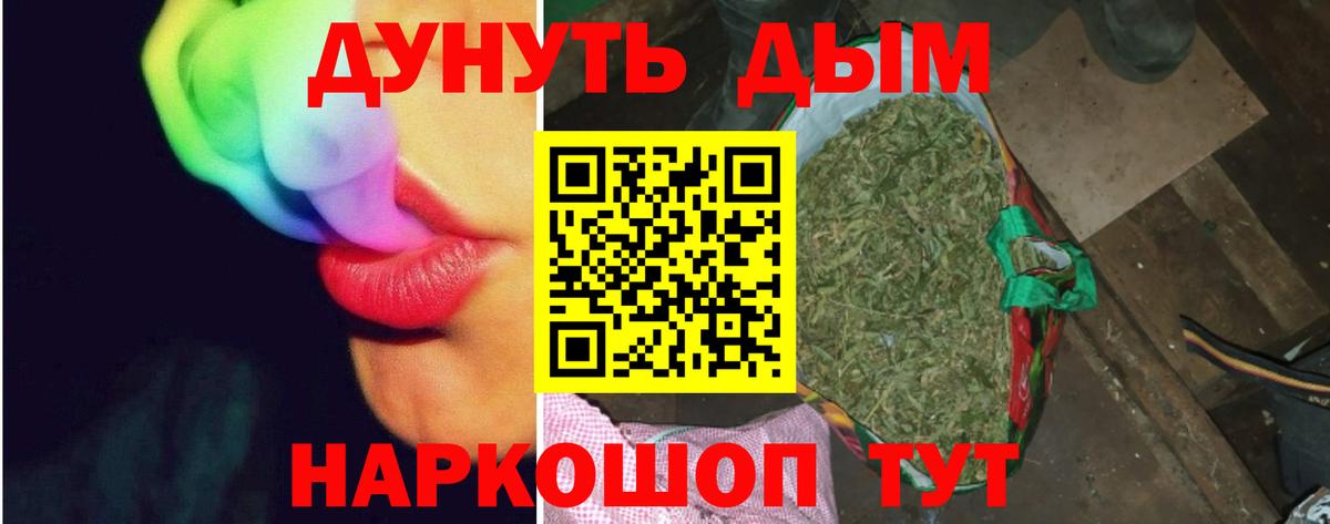 Конопля план Димитровград